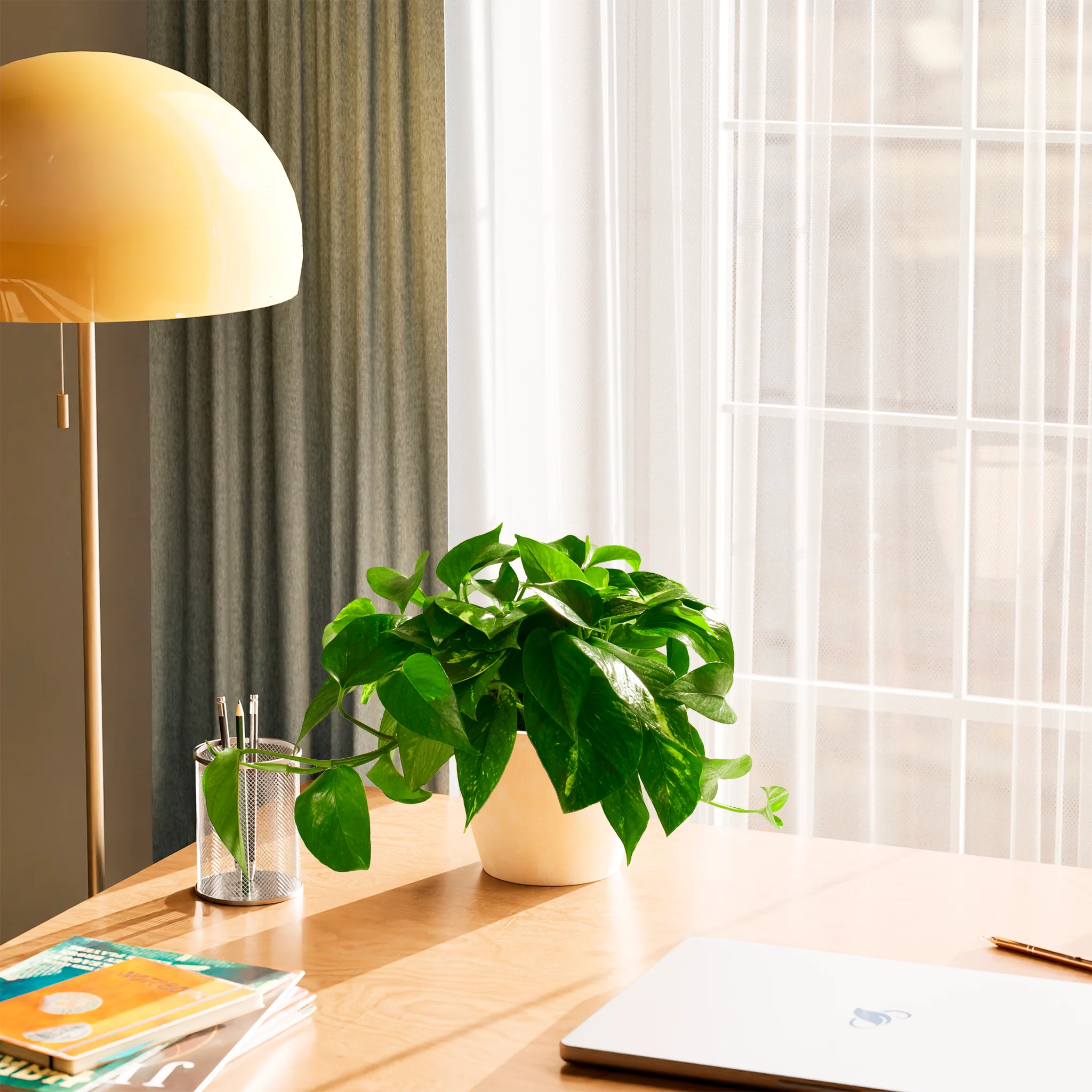 Product image 56