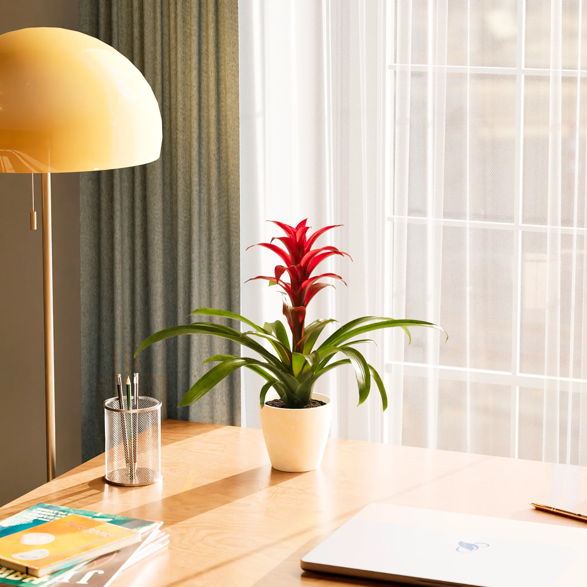 Product image 61