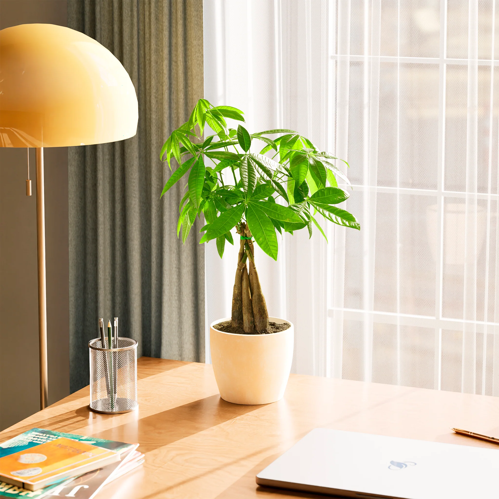 Product image 75