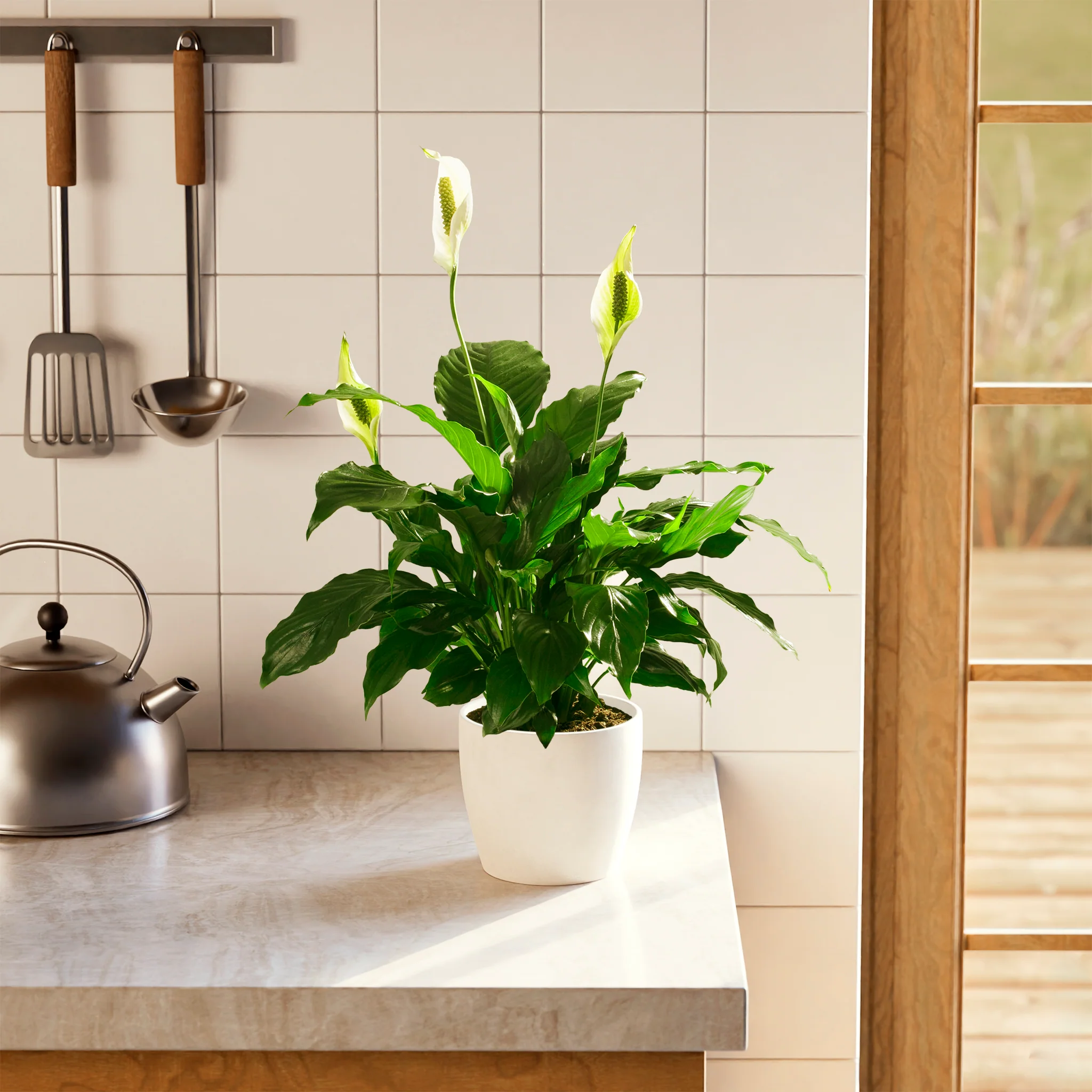 Product image 66