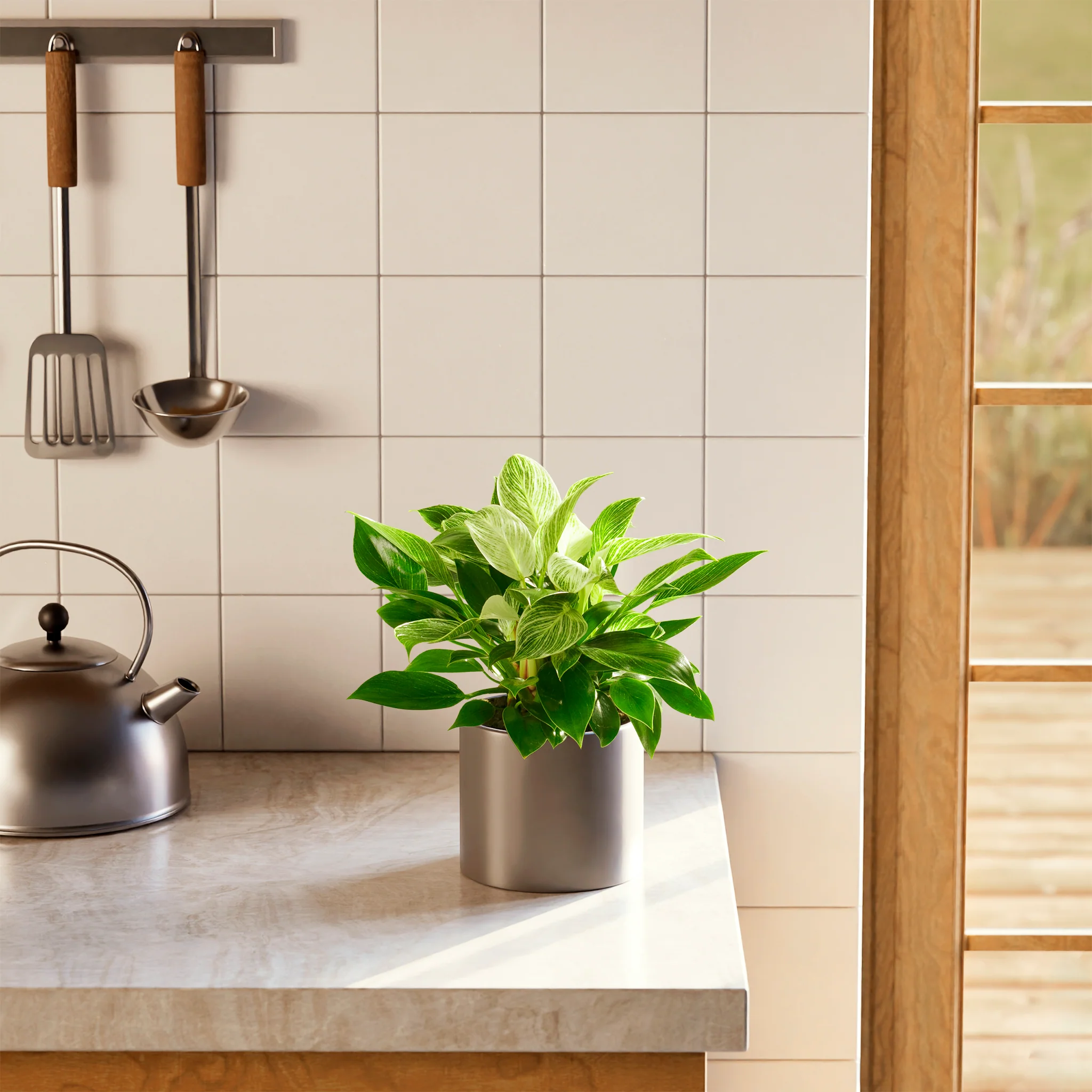 Product image 56