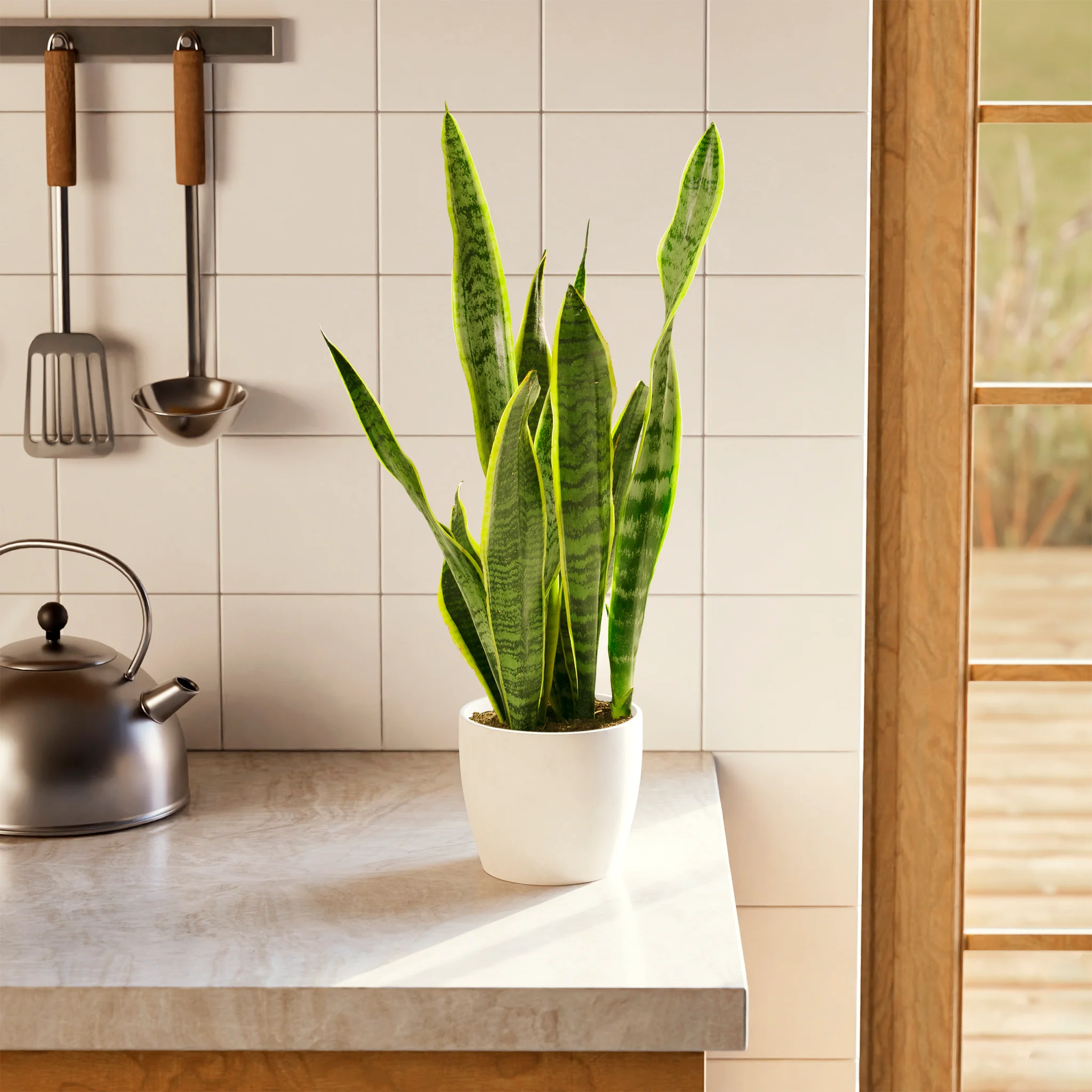 Product image 62