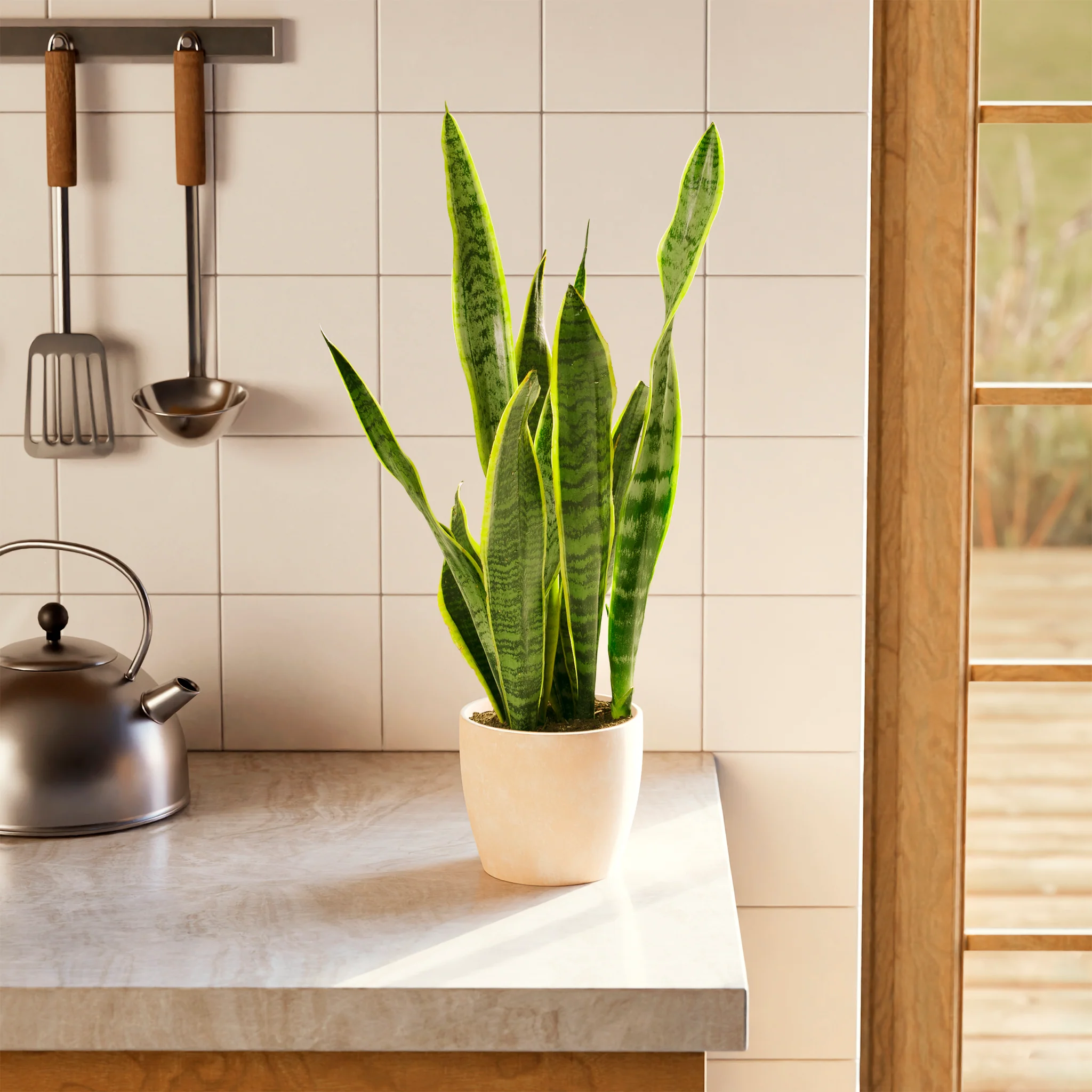 Product image 67
